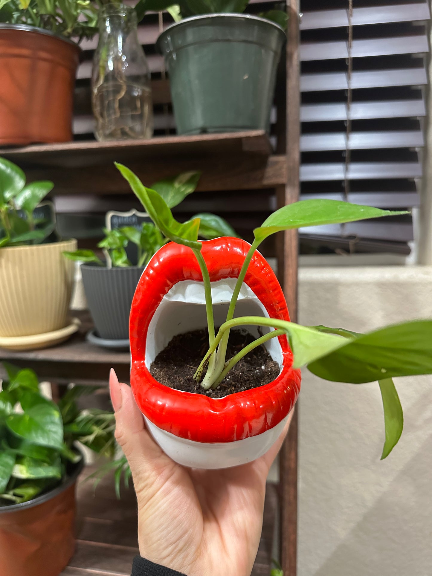 Lip Planter with Pothos