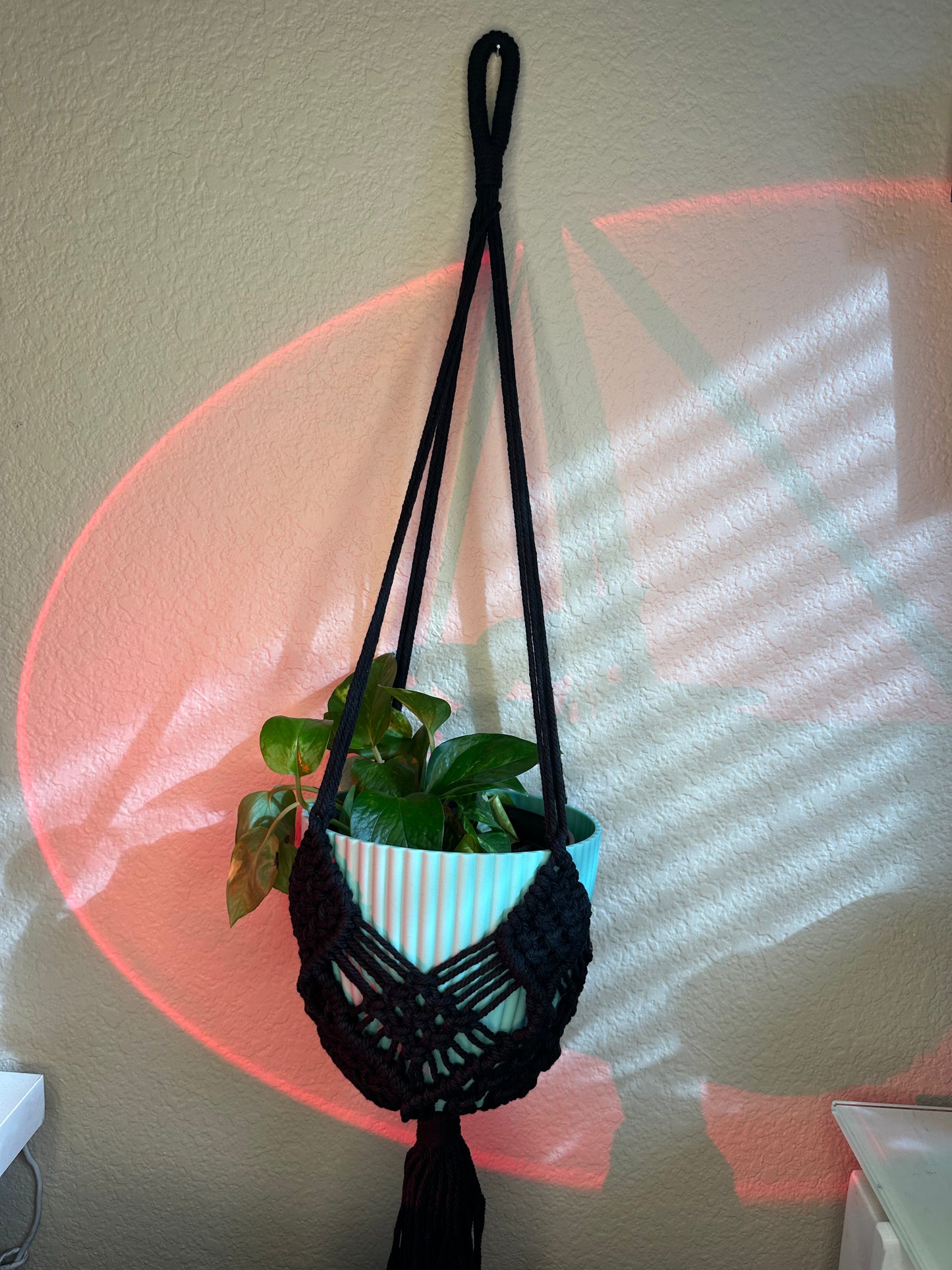 Boho Macrame Plant Hanger with Plant