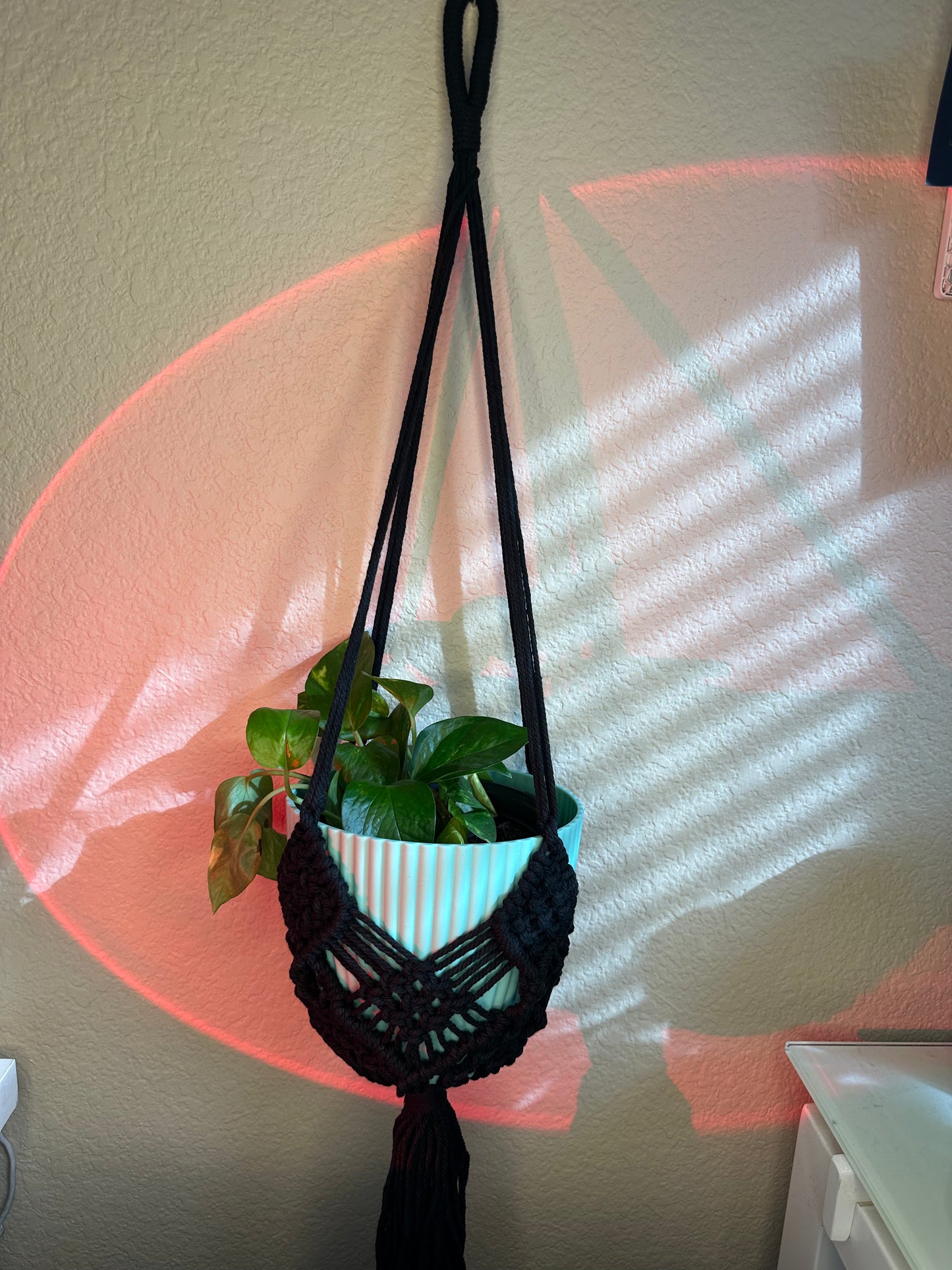 Boho Macrame Plant Hanger with Plant